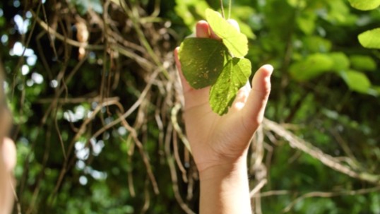 ACEN: The race to replace coal