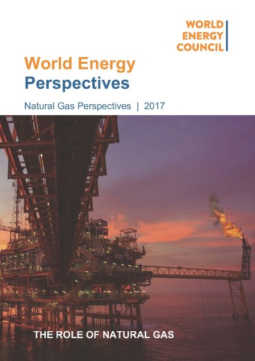 The Role of Natural Gas (Perspective from the 2016 World Energy Scenarios)