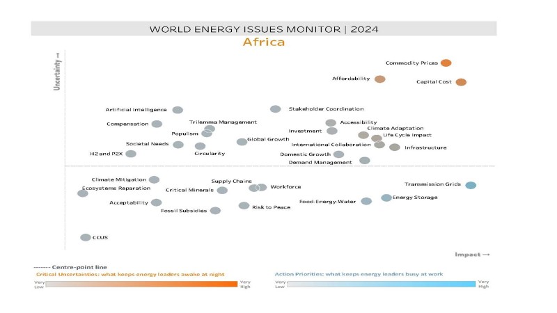 World Energy Issues Monitor 2024 - Africa Map