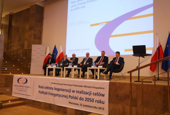 Combined Heat and Power has an important role in Poland - News & Views