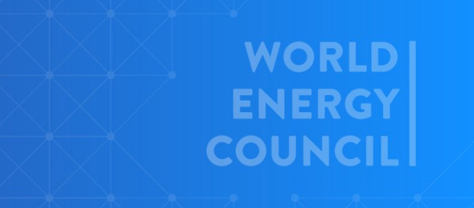 Innovation Insights Tool - World Energy Council