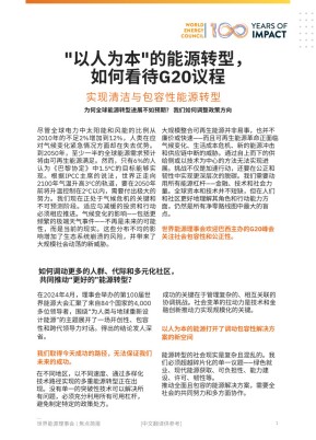 (Chinese) Humanising Energy: A look at the G20 Agenda