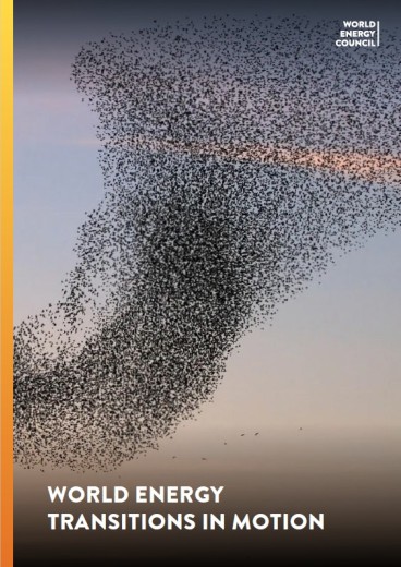 World Energy Issues Monitor | 2025