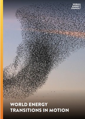 Korea (Rep. of) World Energy Issues Monitor 2025 Country Commentary