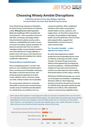 Choosing Wisely Amidst Disruptions: A World Energy Council Executive Dialogue