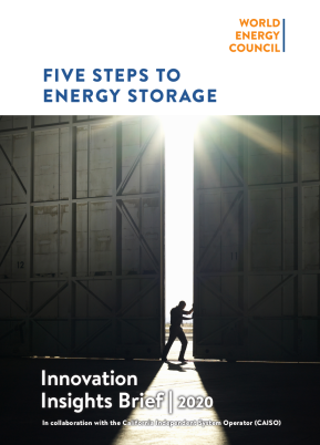 Full Innovation Insights Brief