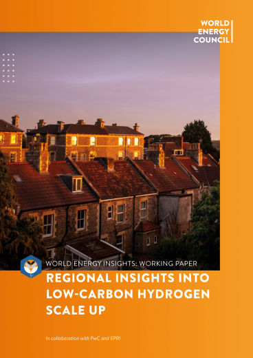 Working Paper: Regional insights into low-carbon hydrogen scale up | World Energy Insights 